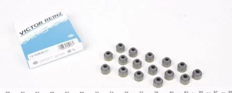 Набір прокладок, стержень клапана Victor Reinz 12-52829-01