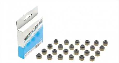 Комплект прокладок, стержень клапана REINZ Victor Reinz 12-52829-03