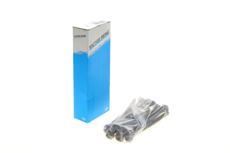 Набор болтов ГБЦ Victor Reinz 141001301