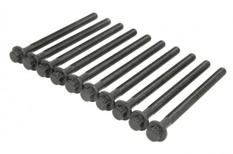 Набір болтів голівки циліндра HYUNDAI GLOWICA CYLINDROW I30 1,4 CRDI 11- Victor Reinz 141037301