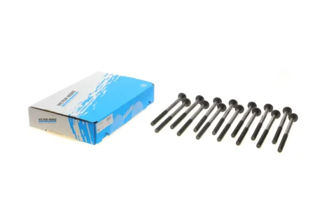 Набор болтов головки цилиндра Victor Reinz 141039802