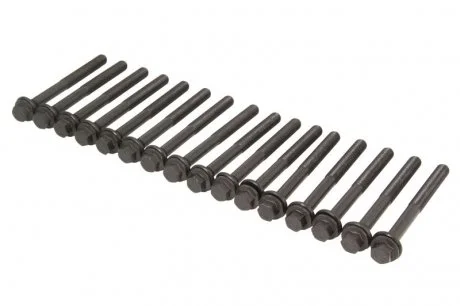 Комплект болтів двигуна з фігурною головкою 14-10415-01 Victor Reinz 141041501