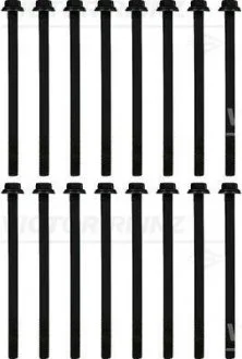 Набір болтів REINZ Victor Reinz 141049101