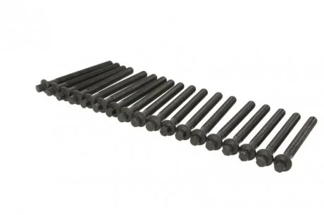 Болти головки блоку 14-10569-01 Victor Reinz 141056901