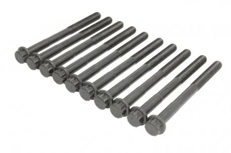 Набор болтов Victor Reinz 141166401