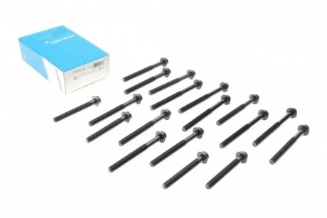 К-т болтов головки блока Victor Reinz 14-32031-01