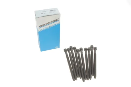 Комплект болтов ГБЦ Victor Reinz 14-32121-01