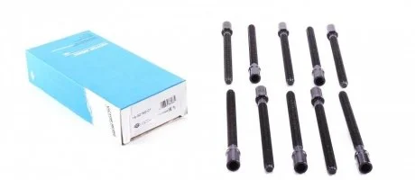 Болти ГБЦ (к-кт 10шт.) VW Passat 2.0 DTI 05-12 (M1 Victor Reinz 143219501