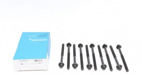 Набор болтов головки цилидров Victor Reinz 143223201