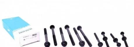 Набор болтов головки цилидров Victor Reinz 143225401