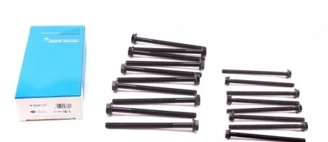 Болт головки блока REINZ Victor Reinz 143234101