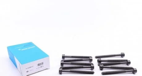 Комплект болтів гбц REINZ Victor Reinz 14-32383-01