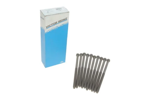 Комплект болтов ГБЦ Victor Reinz 14-32384-01