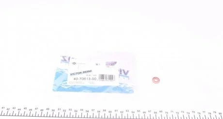 Фото ущільнююче кільце REINZ Victor Reinz 40-70613-00 Ущільнююче кільце REINZ Victor Reinz 40-70613-00