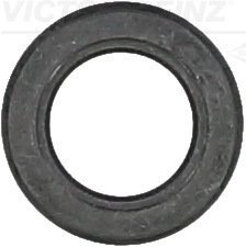 Сальник клапана Victor Reinz 709342210