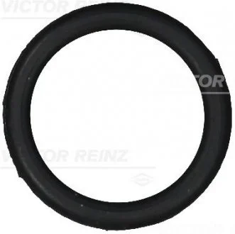 Прокладки Victor Reinz 711098300
