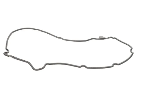 Укладка клап. крышки BMW 3 (E36), 5 (E39), 7 (E38) Land Rover,Range Rover II/Opel Omega B 2.4D 96-04 Victor Reinz 713134400