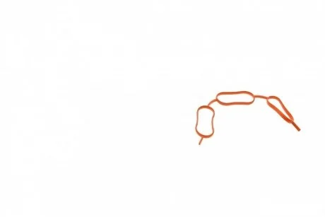 Прокладка впускного колектора REINZ Victor Reinz 71-31801-00