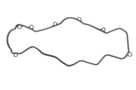 Прокладка крышки клапанов Victor Reinz 71-33956-00