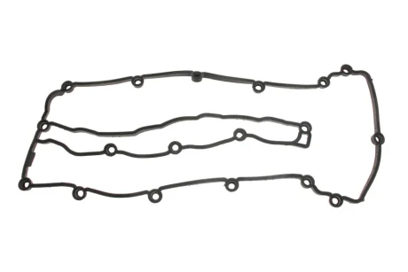 Прокладка клапанної кришки REINZ 71-40438-00 Victor Reinz 714043800