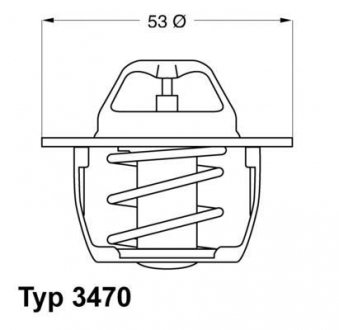 Термостат WAHLER 347089D50