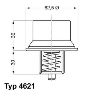 Термостат WAHLER 462180D